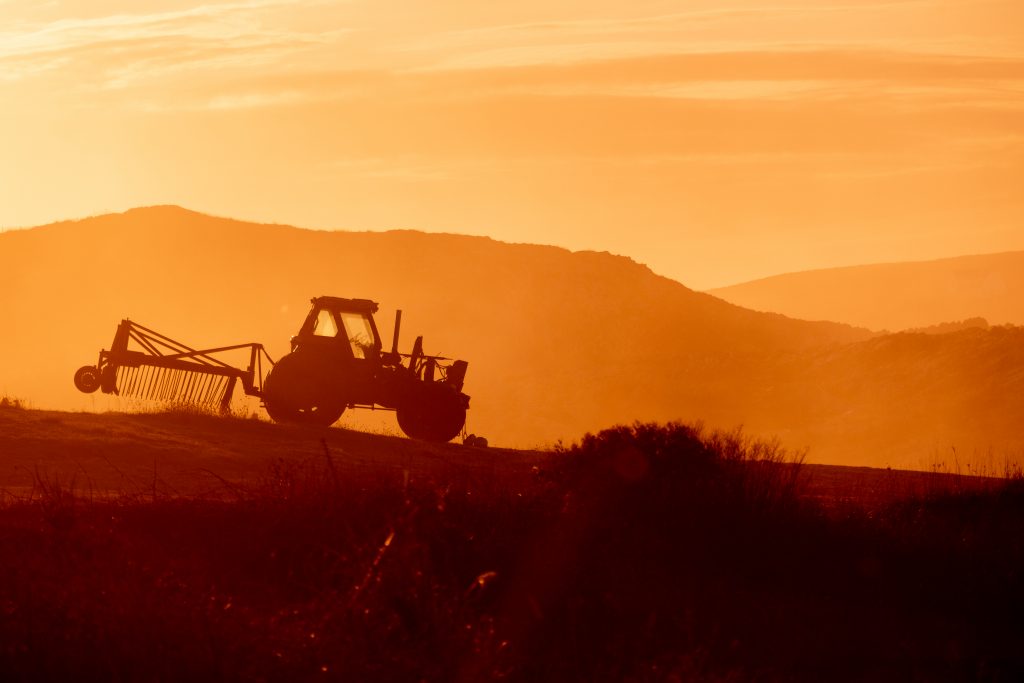 fondi FEASR l’agricoltura si rimette in moto